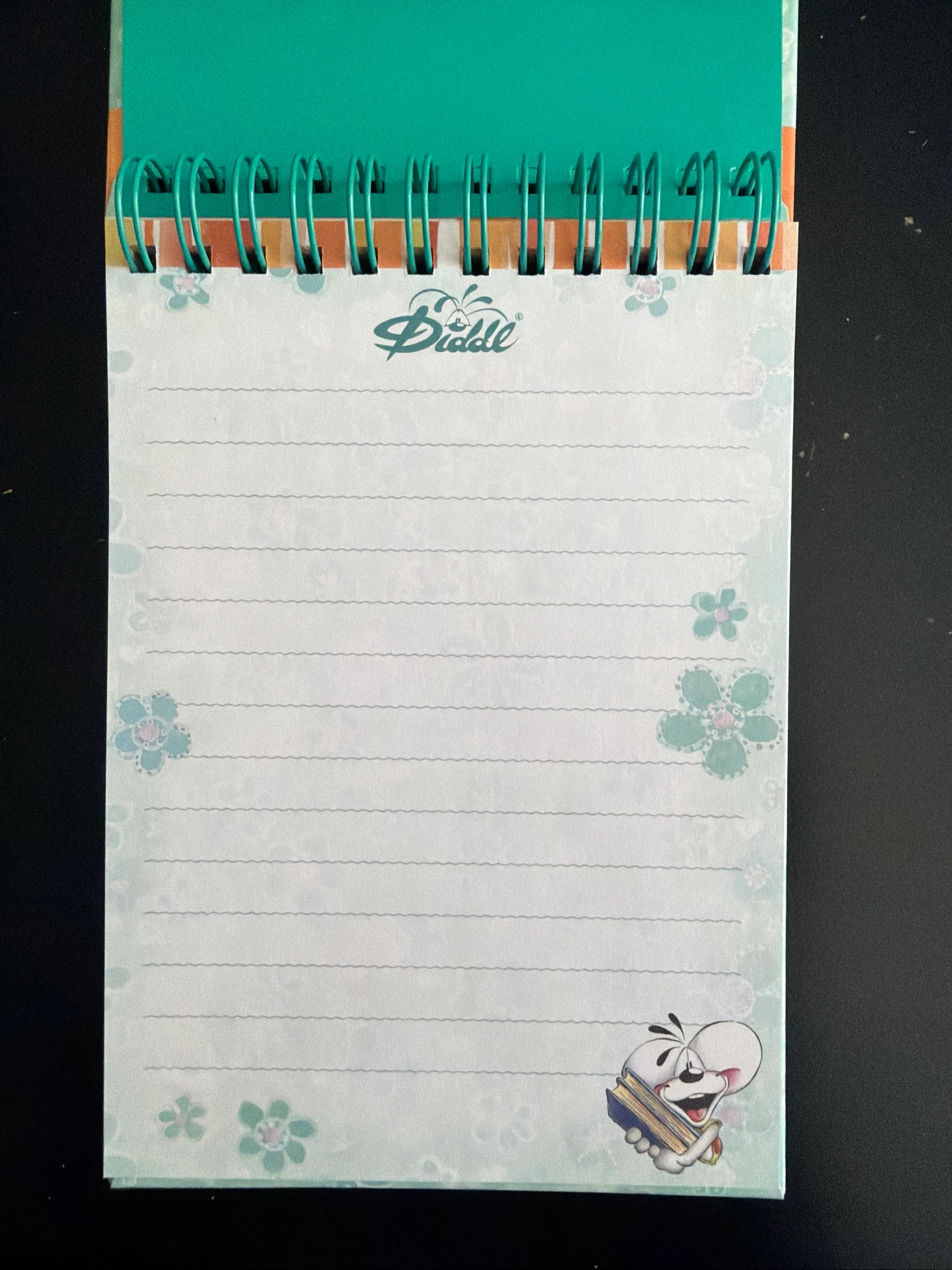 Caderno espiral Diddl coleção Verão/Voltando à escola – photo 2